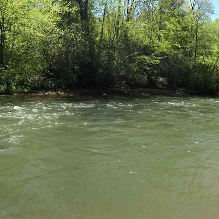Cabin Fever On Cartecay River Ellijay Eksteriør bilde